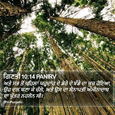 ਗਿਣਤੀ 10:14 PANIRV Bible Verse Image