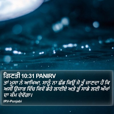 ਗਿਣਤੀ 10:31 PANIRV Bible Verse Image