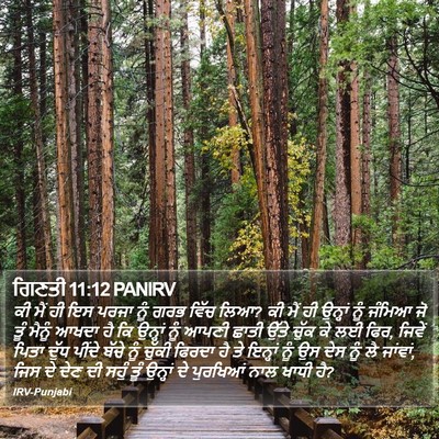 ਗਿਣਤੀ 11:12 PANIRV Bible Verse Image
