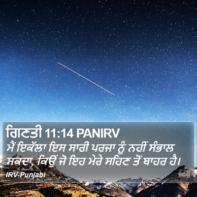 ਗਿਣਤੀ 11:14 PANIRV Bible Verse Image