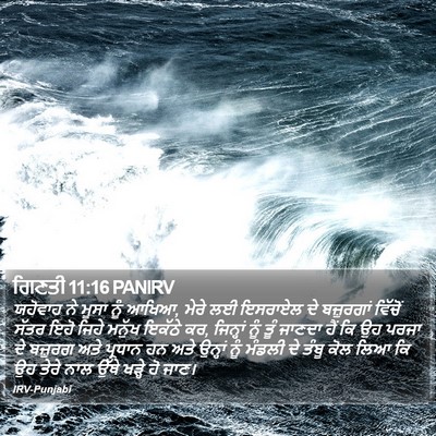 ਗਿਣਤੀ 11:16 PANIRV Bible Verse Image