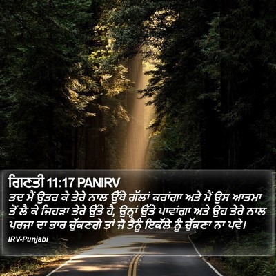ਗਿਣਤੀ 11:17 PANIRV Bible Verse Image
