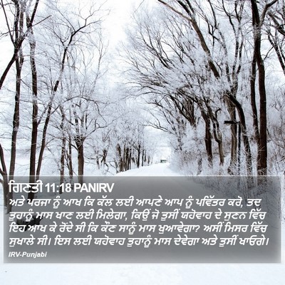 ਗਿਣਤੀ 11:18 PANIRV Bible Verse Image