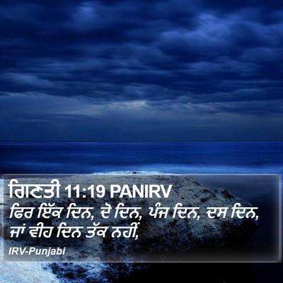 ਗਿਣਤੀ 11:19 PANIRV Bible Verse Image