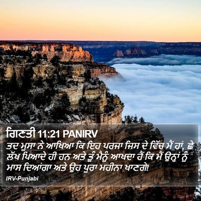 ਗਿਣਤੀ 11:21 PANIRV Bible Verse Image