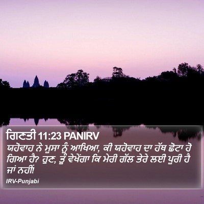 ਗਿਣਤੀ 11:23 PANIRV Bible Verse Image