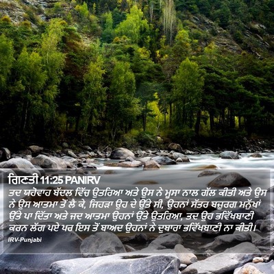 ਗਿਣਤੀ 11:25 PANIRV Bible Verse Image