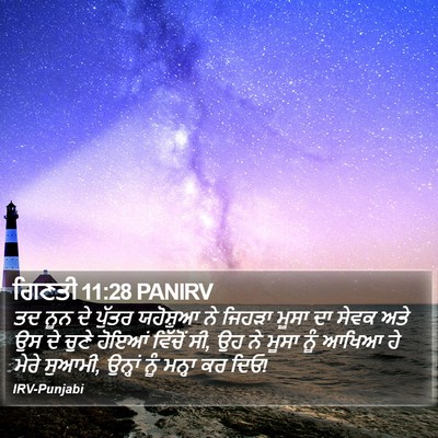 ਗਿਣਤੀ 11:28 PANIRV Bible Verse Image