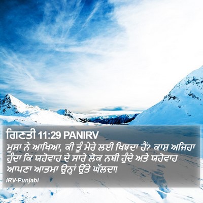 ਗਿਣਤੀ 11:29 PANIRV Bible Verse Image