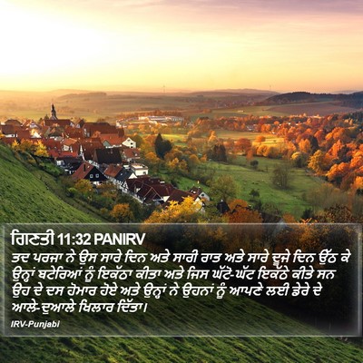 ਗਿਣਤੀ 11:32 PANIRV Bible Verse Image