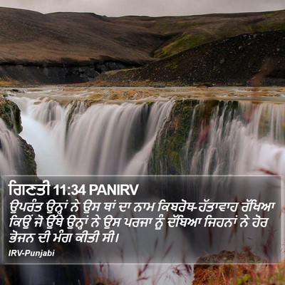ਗਿਣਤੀ 11:34 PANIRV Bible Verse Image