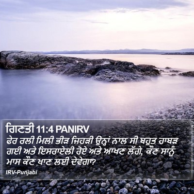 ਗਿਣਤੀ 11:4 PANIRV Bible Verse Image