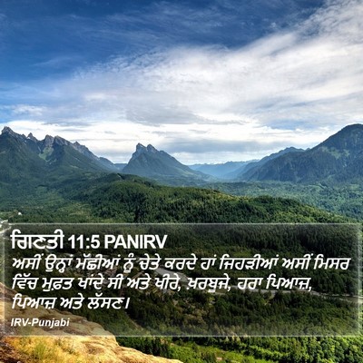 ਗਿਣਤੀ 11:5 PANIRV Bible Verse Image