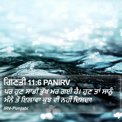ਗਿਣਤੀ 11:6 PANIRV Bible Verse Image