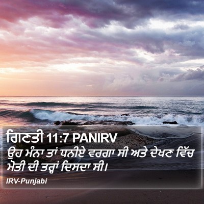 ਗਿਣਤੀ 11:7 PANIRV Bible Verse Image