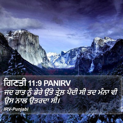 ਗਿਣਤੀ 11:9 PANIRV Bible Verse Image