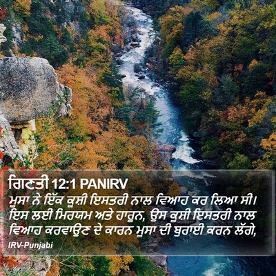 ਗਿਣਤੀ 12:1 PANIRV Bible Verse Image
