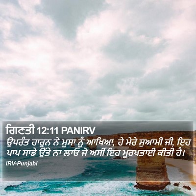 ਗਿਣਤੀ 12:11 PANIRV Bible Verse Image