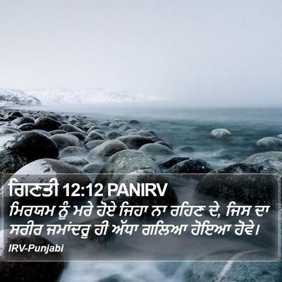 ਗਿਣਤੀ 12:12 PANIRV Bible Verse Image