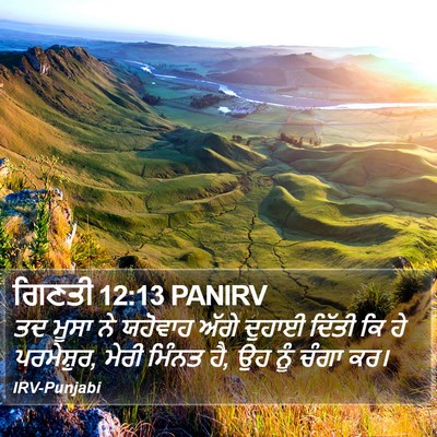 ਗਿਣਤੀ 12:13 PANIRV Bible Verse Image