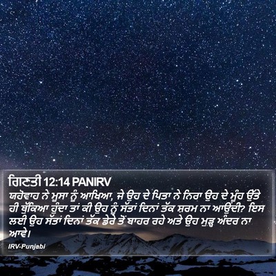 ਗਿਣਤੀ 12:14 PANIRV Bible Verse Image