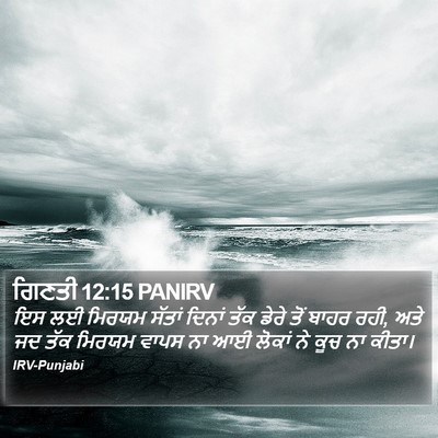 ਗਿਣਤੀ 12:15 PANIRV Bible Verse Image