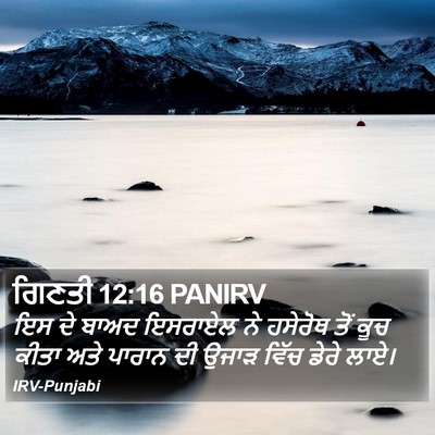 ਗਿਣਤੀ 12:16 PANIRV Bible Verse Image