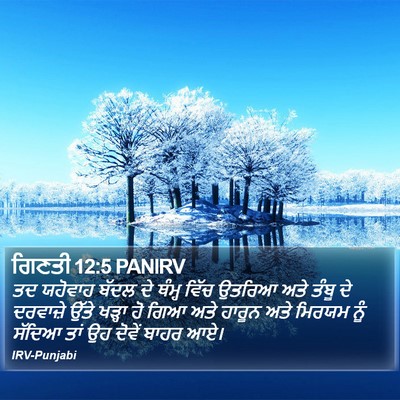ਗਿਣਤੀ 12:5 PANIRV Bible Verse Image