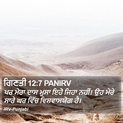 ਗਿਣਤੀ 12:7 PANIRV Bible Verse Image