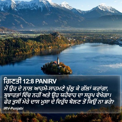 ਗਿਣਤੀ 12:8 PANIRV Bible Verse Image