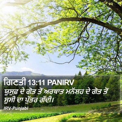 ਗਿਣਤੀ 13:11 PANIRV Bible Verse Image