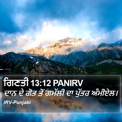 ਗਿਣਤੀ 13:12 PANIRV Bible Verse Image