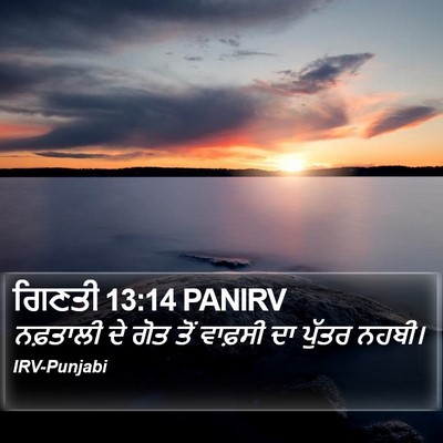 ਗਿਣਤੀ 13:14 PANIRV Bible Verse Image