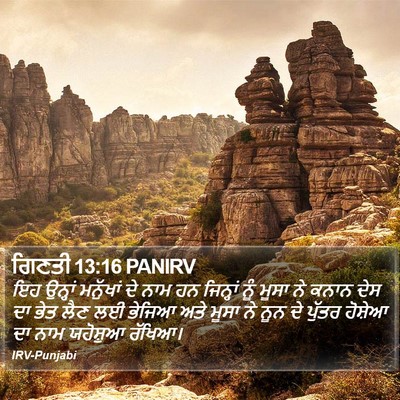 ਗਿਣਤੀ 13:16 PANIRV Bible Verse Image