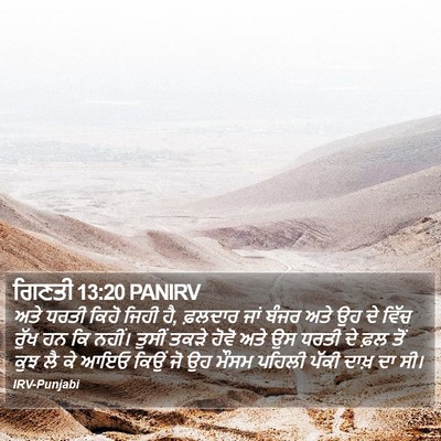 ਗਿਣਤੀ 13:20 PANIRV Bible Verse Image