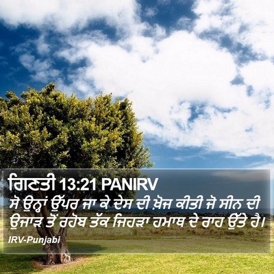 ਗਿਣਤੀ 13:21 PANIRV Bible Verse Image