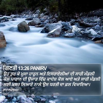 ਗਿਣਤੀ 13:26 PANIRV Bible Verse Image