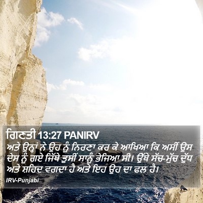 ਗਿਣਤੀ 13:27 PANIRV Bible Verse Image