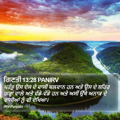 ਗਿਣਤੀ 13:28 PANIRV Bible Verse Image
