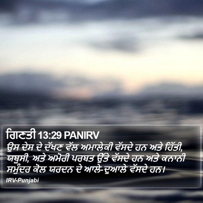 ਗਿਣਤੀ 13:29 PANIRV Bible Verse Image