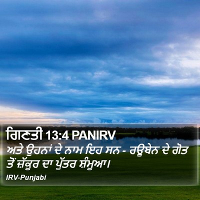 ਗਿਣਤੀ 13:4 PANIRV Bible Verse Image