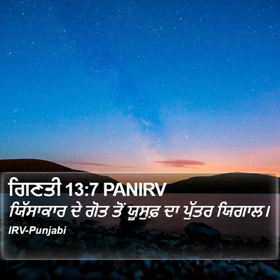 ਗਿਣਤੀ 13:7 PANIRV Bible Verse Image