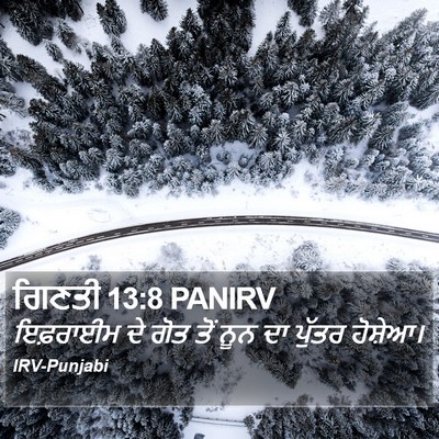 ਗਿਣਤੀ 13:8 PANIRV Bible Verse Image