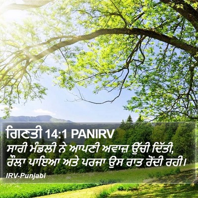 ਗਿਣਤੀ 14:1 PANIRV Bible Verse Image