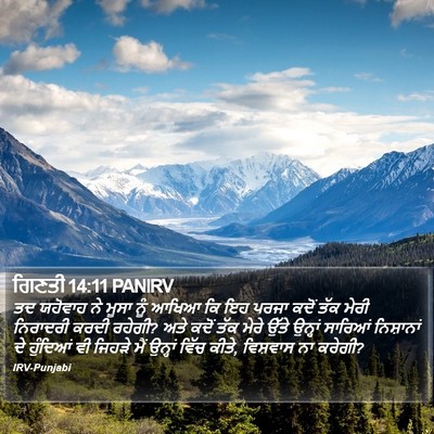 ਗਿਣਤੀ 14:11 PANIRV Bible Verse Image