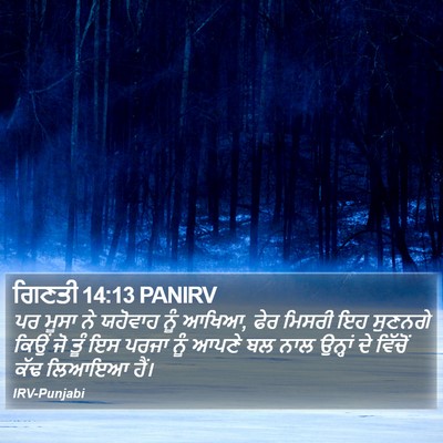 ਗਿਣਤੀ 14:13 PANIRV Bible Verse Image