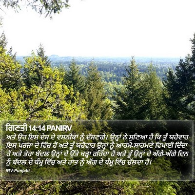 ਗਿਣਤੀ 14:14 PANIRV Bible Verse Image