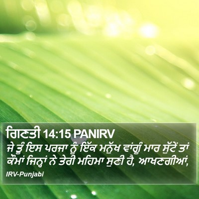 ਗਿਣਤੀ 14:15 PANIRV Bible Verse Image