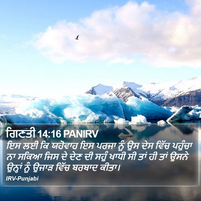 ਗਿਣਤੀ 14:16 PANIRV Bible Verse Image