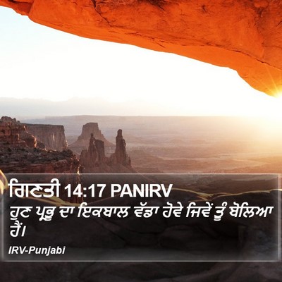 ਗਿਣਤੀ 14:17 PANIRV Bible Verse Image